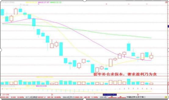 交易技术分析_宝塔线选股程序_交易亏损原因