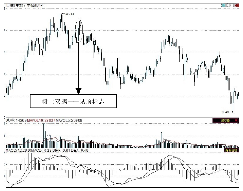 k线图看涨信号_K线组合 树上双鸦 大象吞蛇