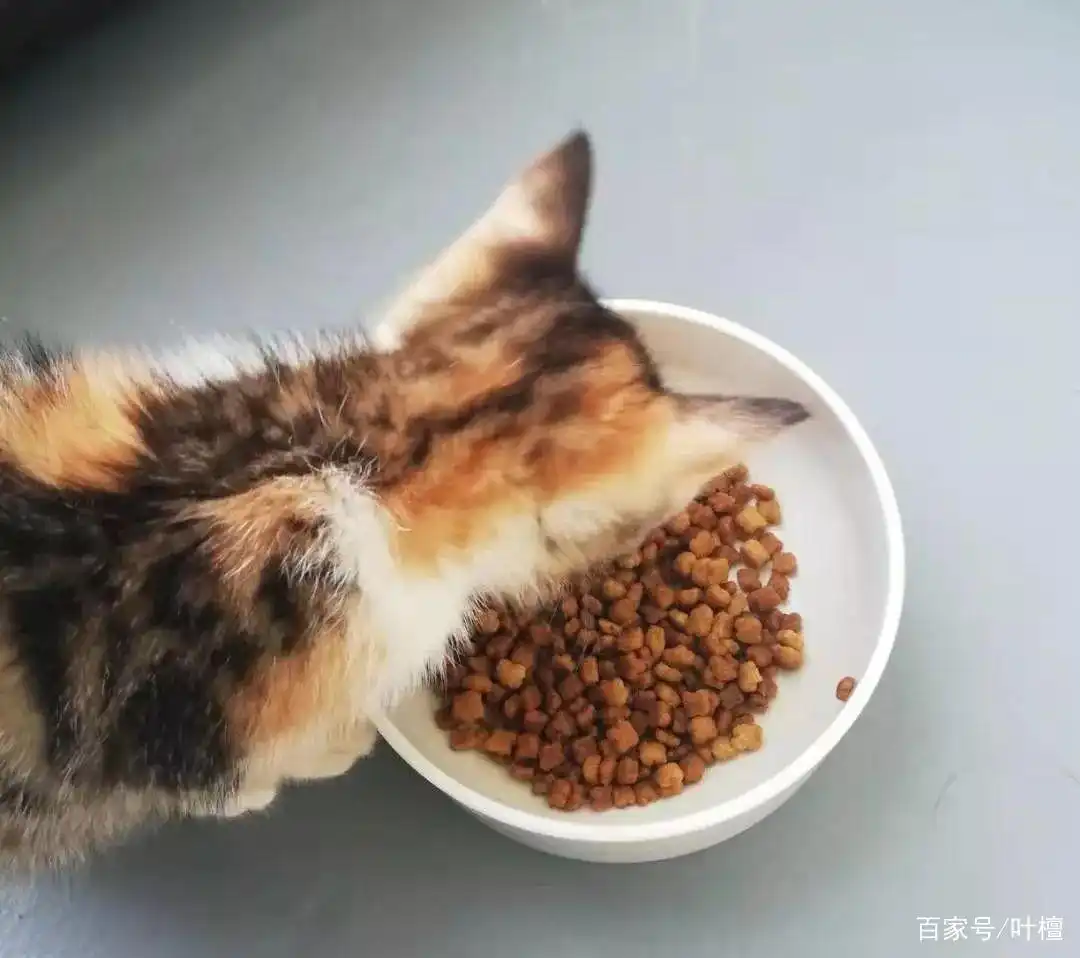 游资大佬流沙河操作策略_正宗雄安新区概念股_区块链概念股涨停分析