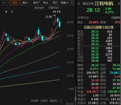 优先股概念股龙头_江特电机股价大跌原因_新能源股市回调分析