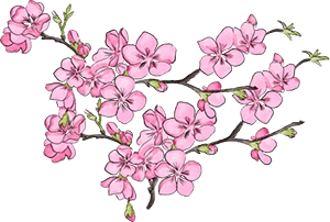 正宗雄安新区概念股_雄安新区房产限购_雄安新区房地产投资策略