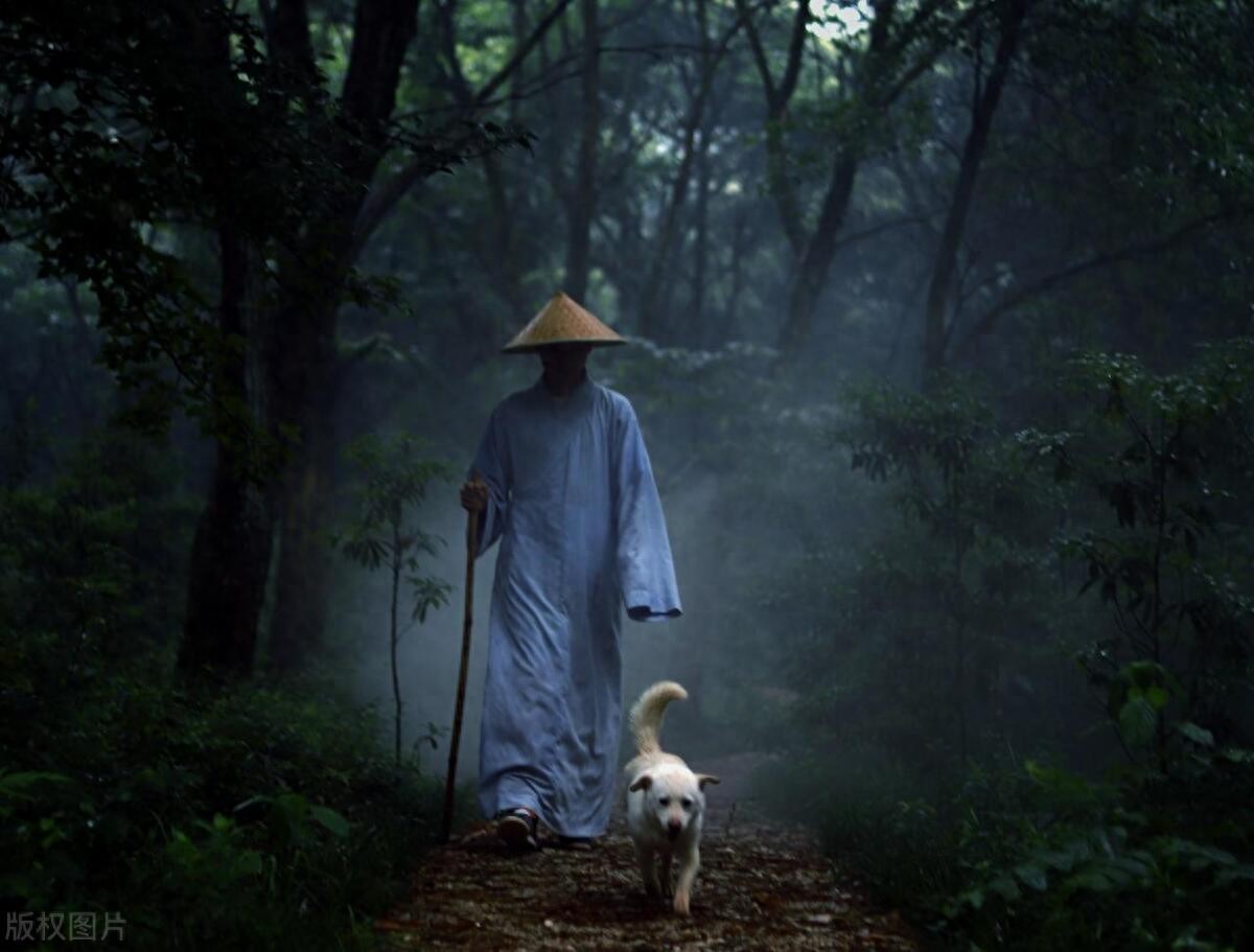 _ 炒股修行心态 _什么是股市一阳指