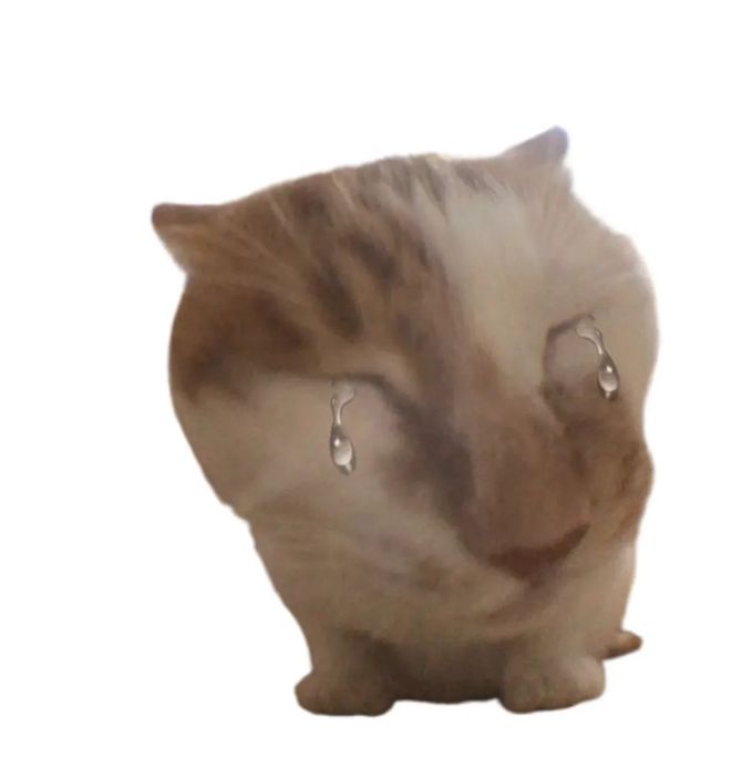 哪吒闹海东海原因_东海龙三公主是谁_东海龙王敖光