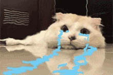 哪吒闹海东海原因_东海龙王敖光_东海龙三公主是谁