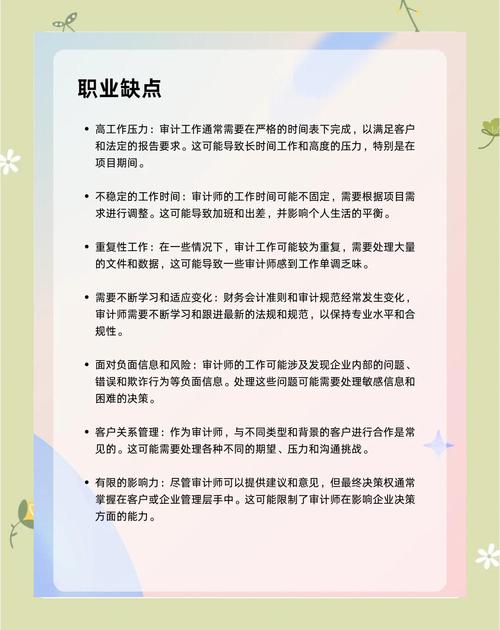 职业道德与审计准则_审计职业理念_审计职业道德