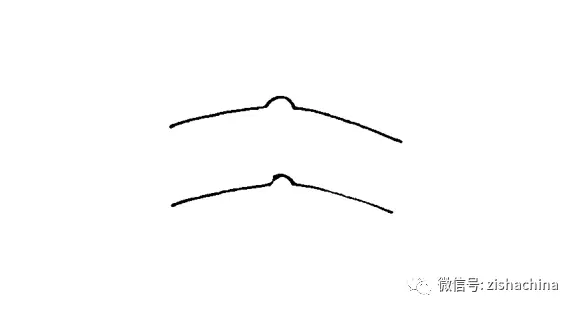 紫砂壶子母线是什么意思_紫砂壶half线_紫砂壶子母线