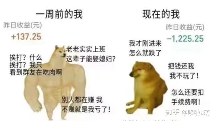 基金投资避坑指南_基金新手入门教程_基金华商领先净值