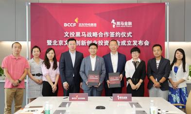 公司发行优先股的好处_优先股发行的意义_优先股的发行对公司的利弊