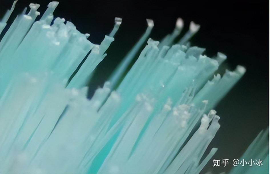 电动自行车行业现状_电动牙刷推荐_电动牙刷测评