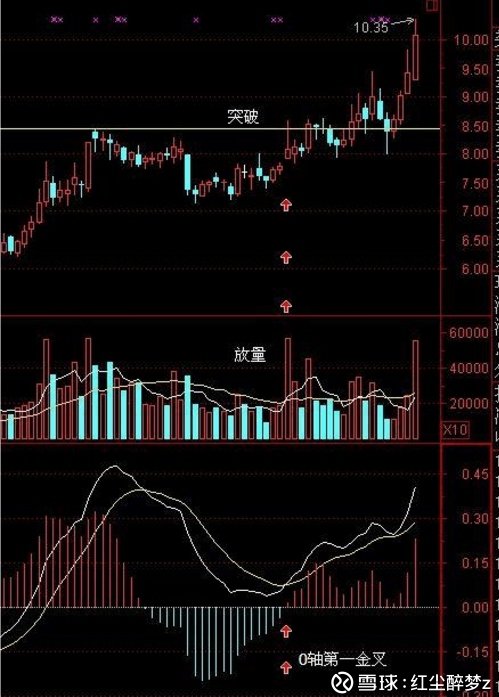 唯美macd老师写的书_MACD指标交易策略_MACD与均线系统结合