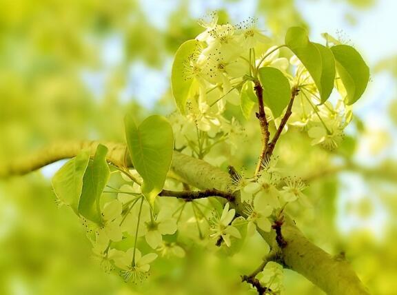 k线图21种看涨信号图解_V型反转涨势_连续下跌抢反弹