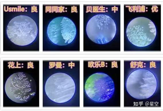 电动牙刷避雷指南_电动牙刷选购技巧_电动自行车行业现状