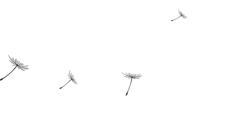 股东占用资金是什么罪_大股东资金占用_大股东资金占用