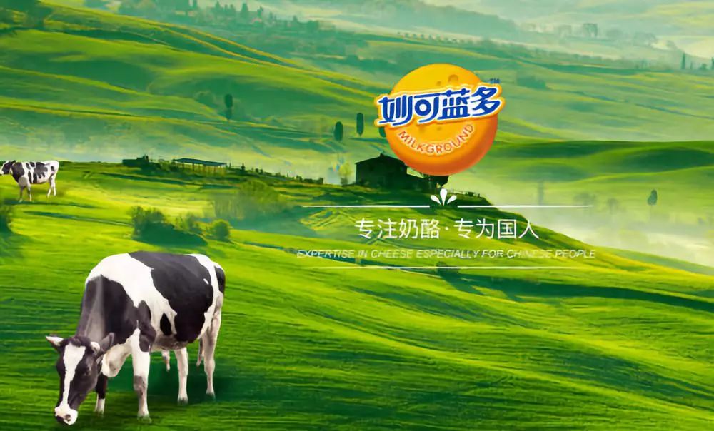 大股东资金占用_股东占用资金是什么罪_股东占用公司资金