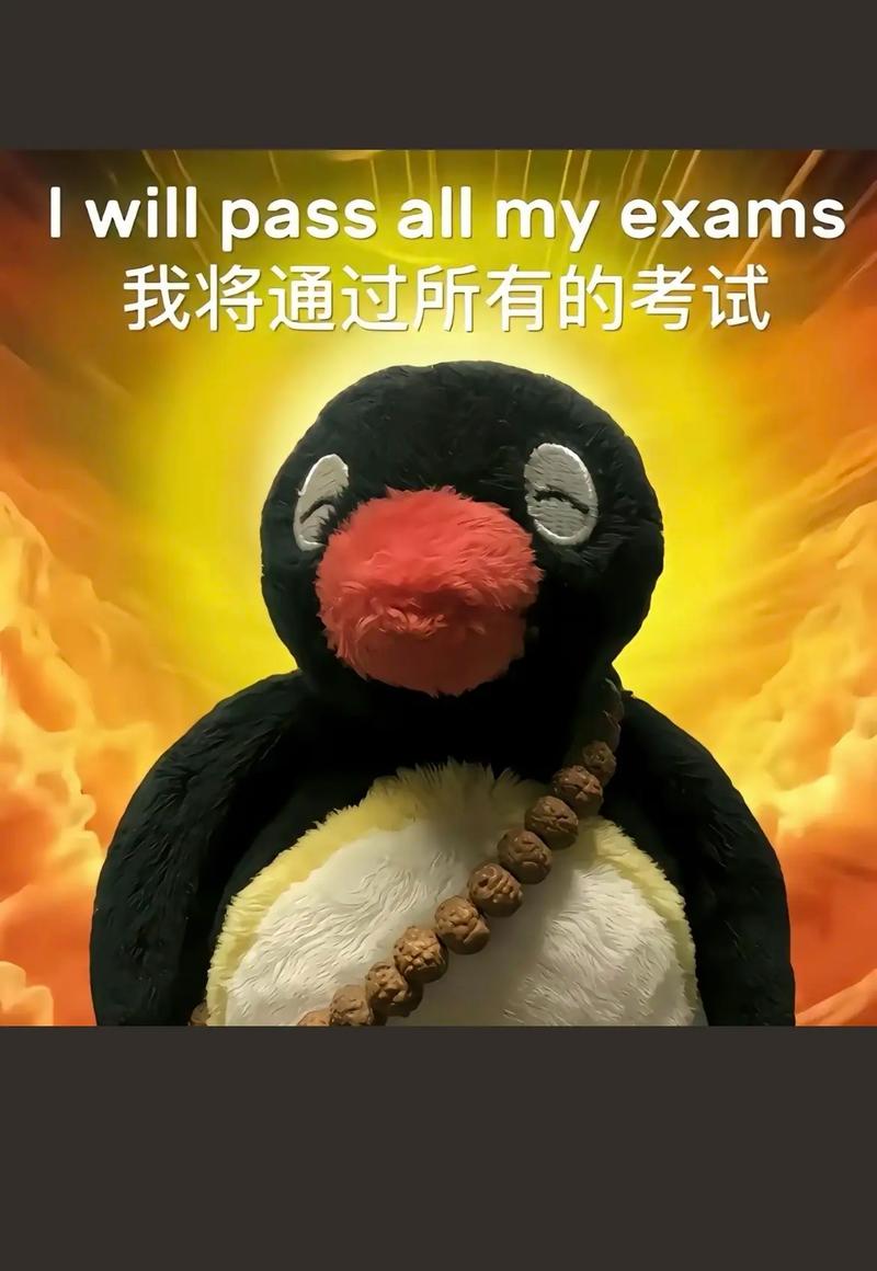 pass意思用法_pass通过考试_pass张图片