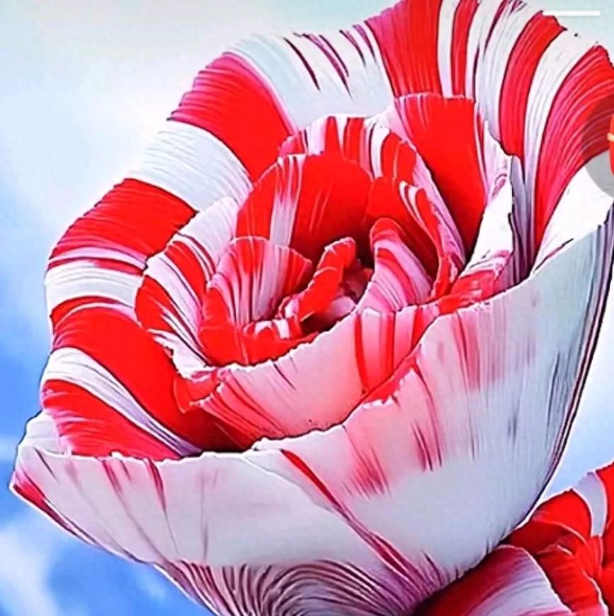 2025年5月6日停牌公告_*ST恒宇复牌时间_停牌公告什么时候发布