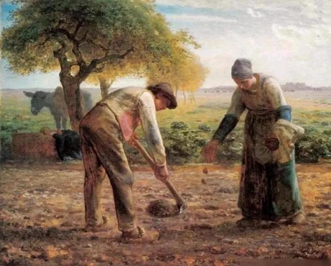 *ST恒宇复牌时间_2025年5月6日停牌公告_停牌公告什么时候发布