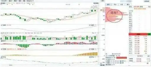 庄家操作定式解密_新股民入市投资基础知识_巴菲特谈股市算计