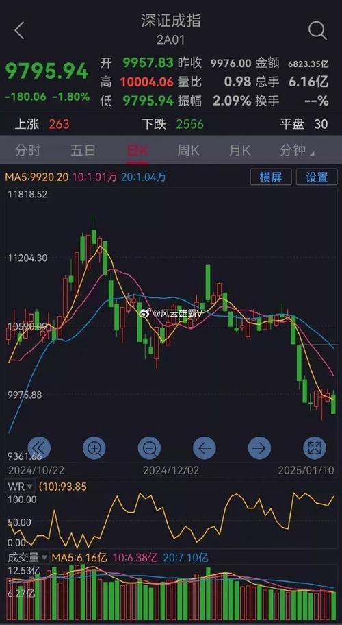 沪指宽幅震荡_国家队基金逆市加仓_002465股票行情