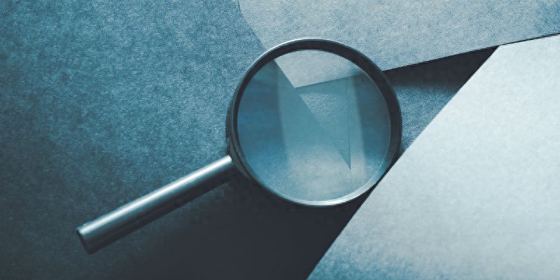 股东权利变化 新公司法 董事治理权强化_公司股东权利和义务