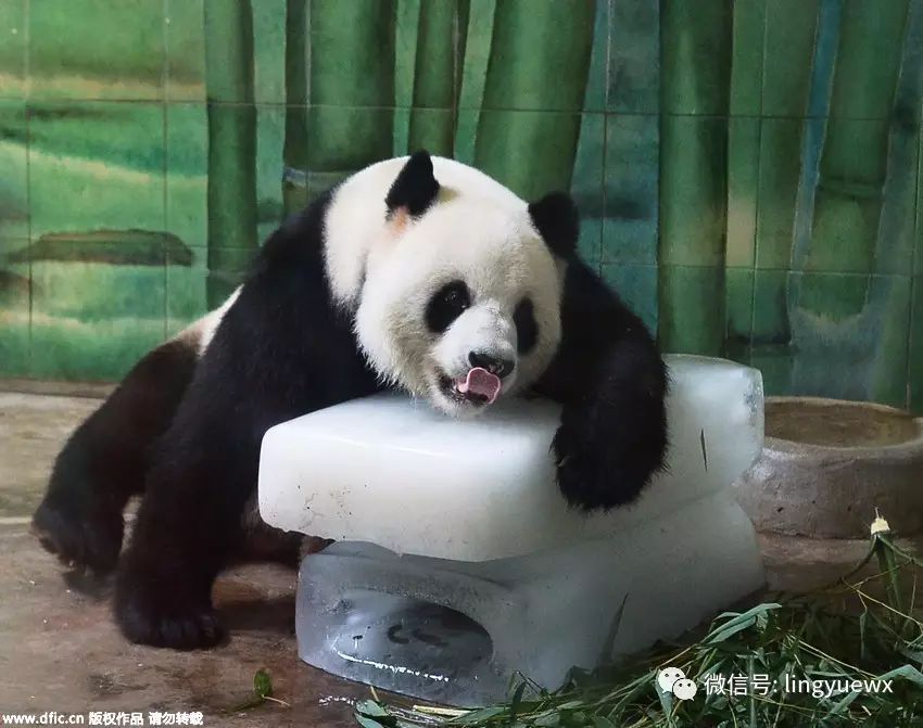 美股行情股票_美团股价实时行情股票_600323股票行情