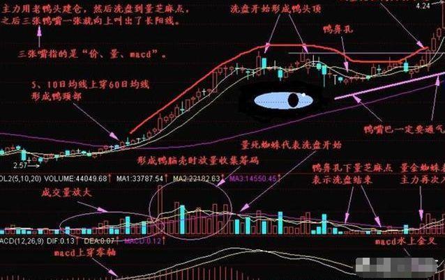 一旦股票出现“老鸭头”形态,十买九涨,学会必定使人受益终身!