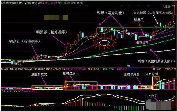 一旦股票出现“老鸭头”形态,十买九涨,学会必定使人受益终身!