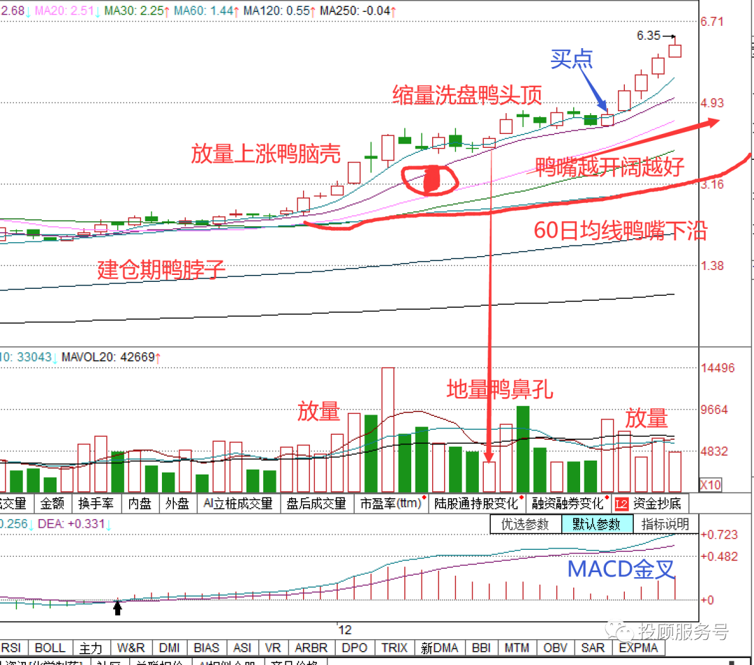 老鸭头形态_什么样老鸭头形态图好_老鸭头战法