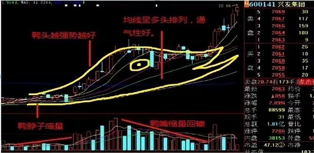 老鸭头战法_老鸭头形态_什么样老鸭头形态图好