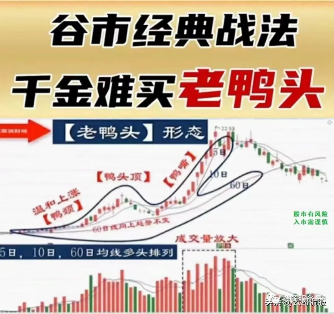 老鸭头形态_什么样老鸭头形态图好_老鸭头战法