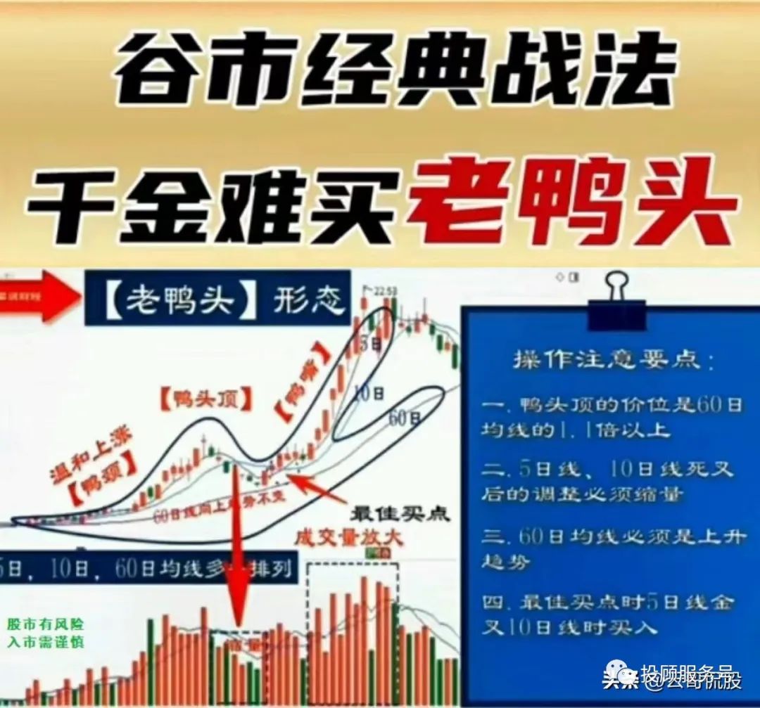 老鸭头形态_什么样老鸭头形态图好_老鸭头战法