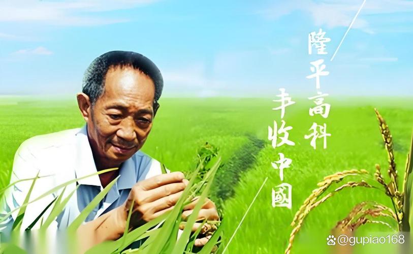 杂交水稻市场份额_隆平高科种业振兴_隆平高科千股千评