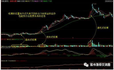 如何用筹码分布判断主力动向，它与抄底配合的指标有哪些？