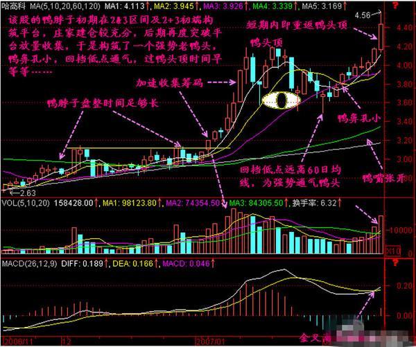 股票老鸭头形态图解（股票倒挂老鸭头形态图解）