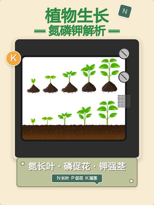植物氮素作用_植物缺氮症状_植物氮代谢
