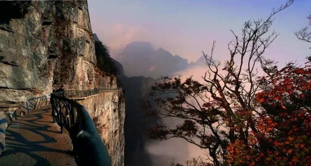 炒股如沙漠求生，分享均线使用技巧，想赚钱得这么做