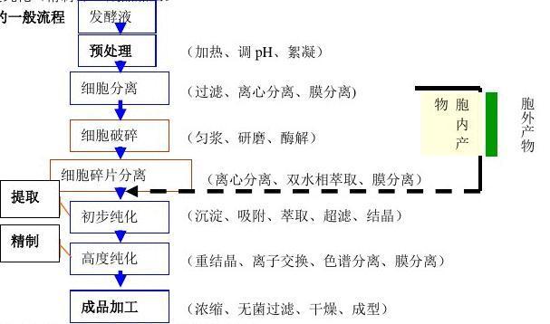 高中化学发酵食品微生物发酵产物分离纯化技术_高中化学生物活性教学研究课题报告_发酵产物分离纯化步骤