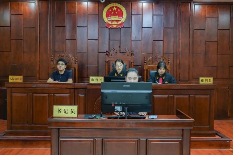 人民陪审员专业优势_岑溪市人民法院陪审员作用_人民陪审员工资
