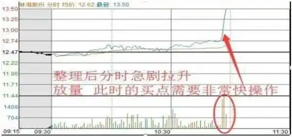 只做一只股票_股票T+0操作技巧_股票被套牢t 0如何高卖低买