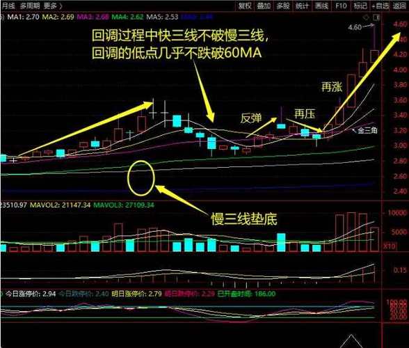金蜘蛛选股法_金蜘蛛选股_均线金叉选股技巧
