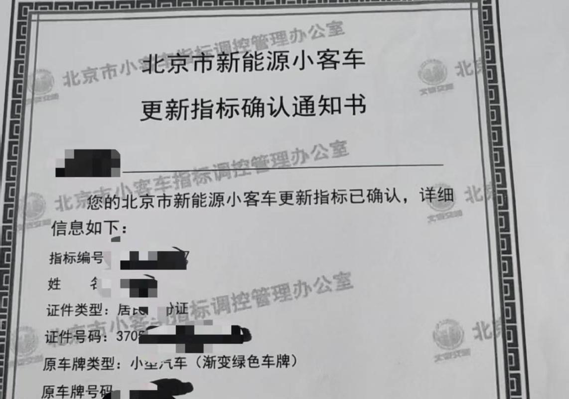新能源车摇号新变化:弃号不退池,明年配置量翻倍
