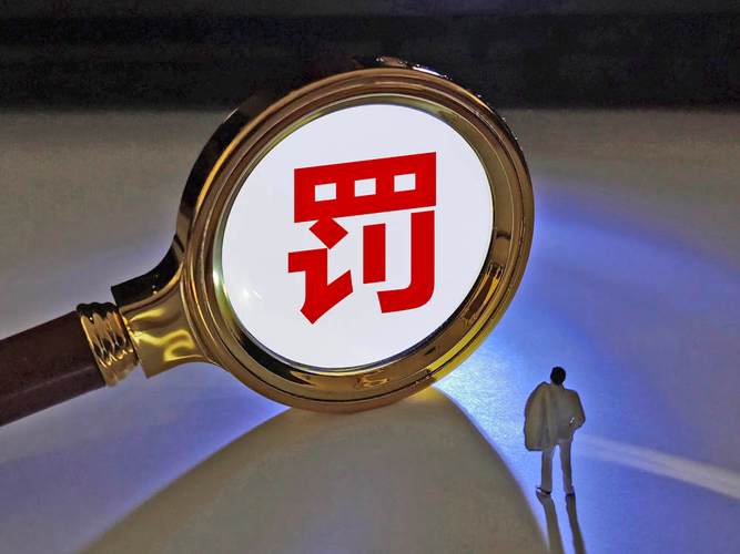 孩子王证监会警示函_华泰联合证券 下载_华泰联合证券保荐违规