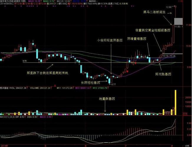 翻倍黑马炒股策略_wind资讯股票专家使用方法_长期股票投资技巧