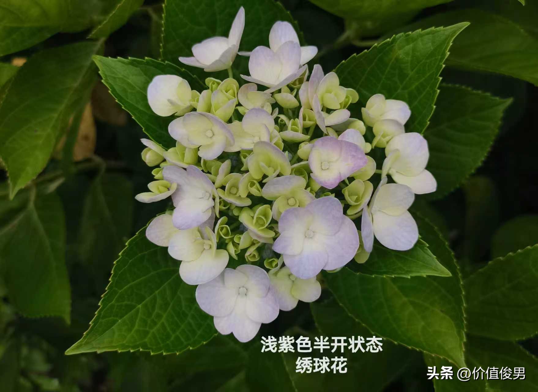 优先股 兴业银行_银行股2025年一季度报半年报分析_银行赎回优先股趋势